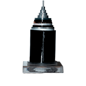 Screened armored cable